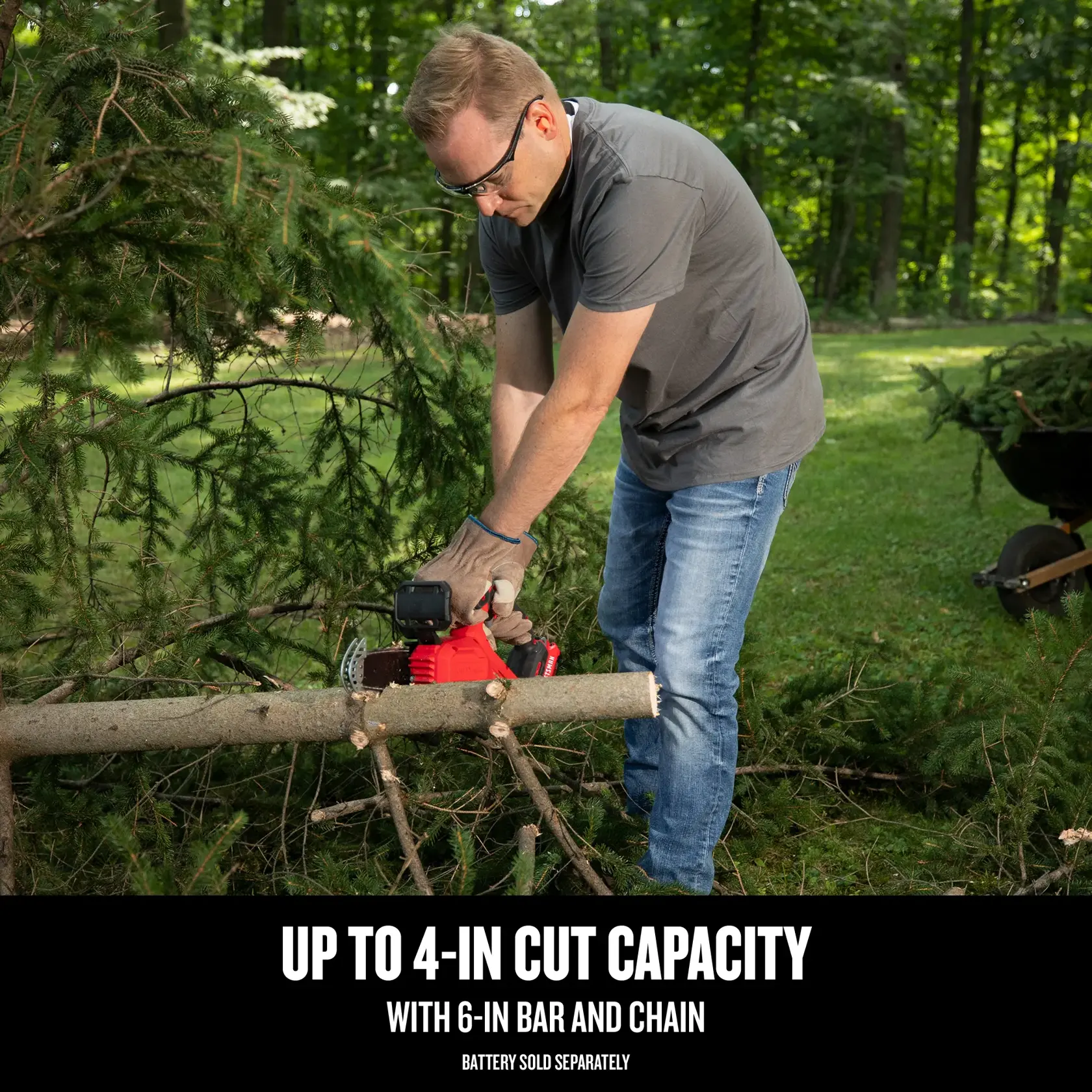 Cordless Pruning Chainsaw 