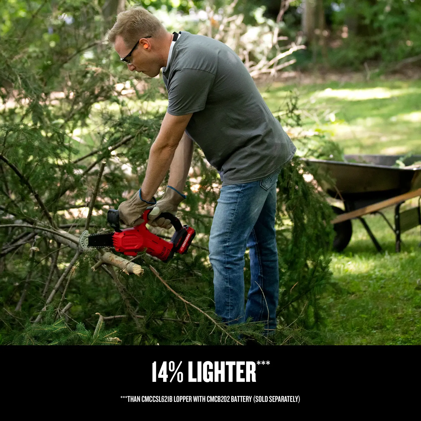 Cordless Pruning Chainsaw 