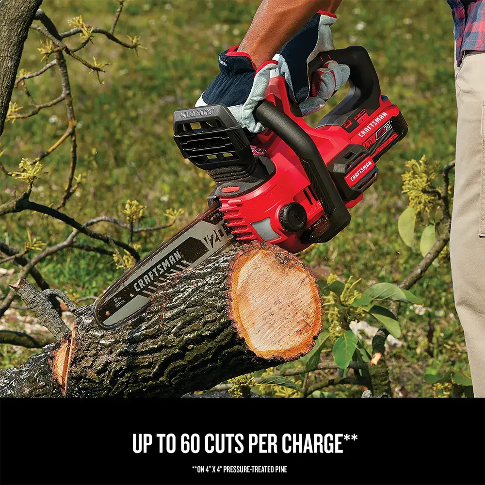 Graphic of CRAFTSMAN Chain Saws highlighting product features