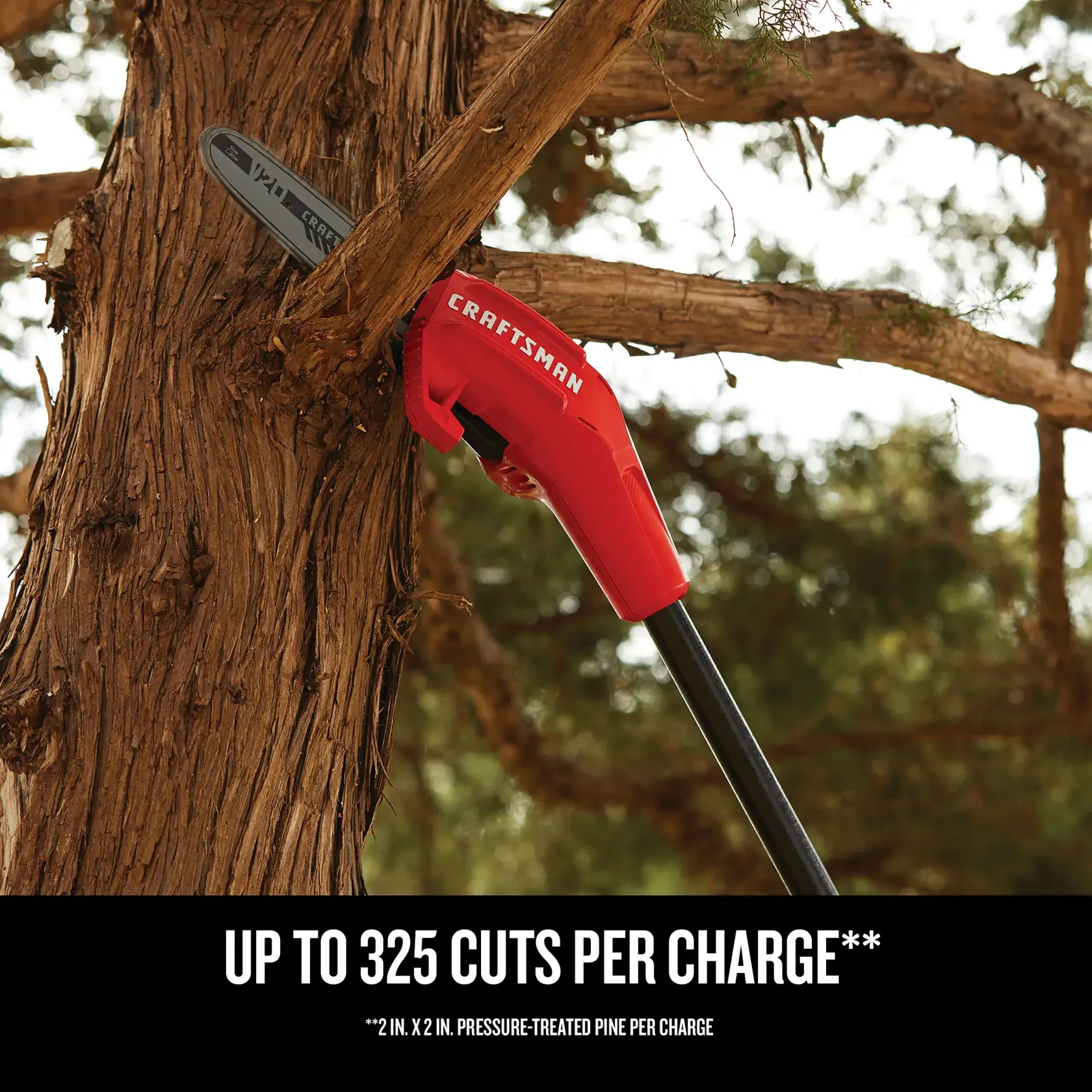 Graphic of CRAFTSMAN Pole Saws highlighting product features