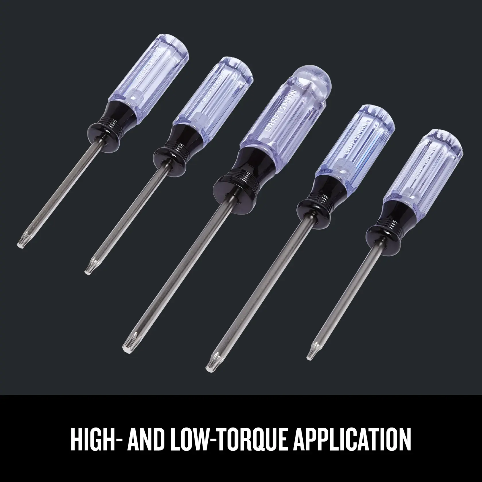 CRAFTSMAN 5-Piece TORX™ Acetate Screwdriver Set