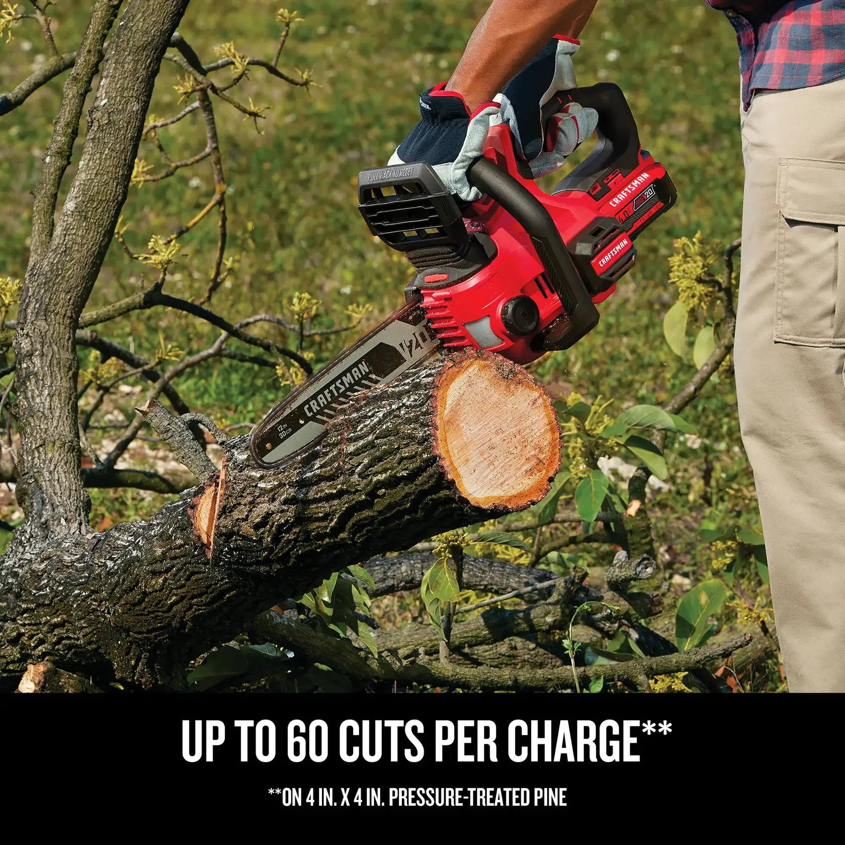 Graphic of CRAFTSMAN Chain Saws highlighting product features
