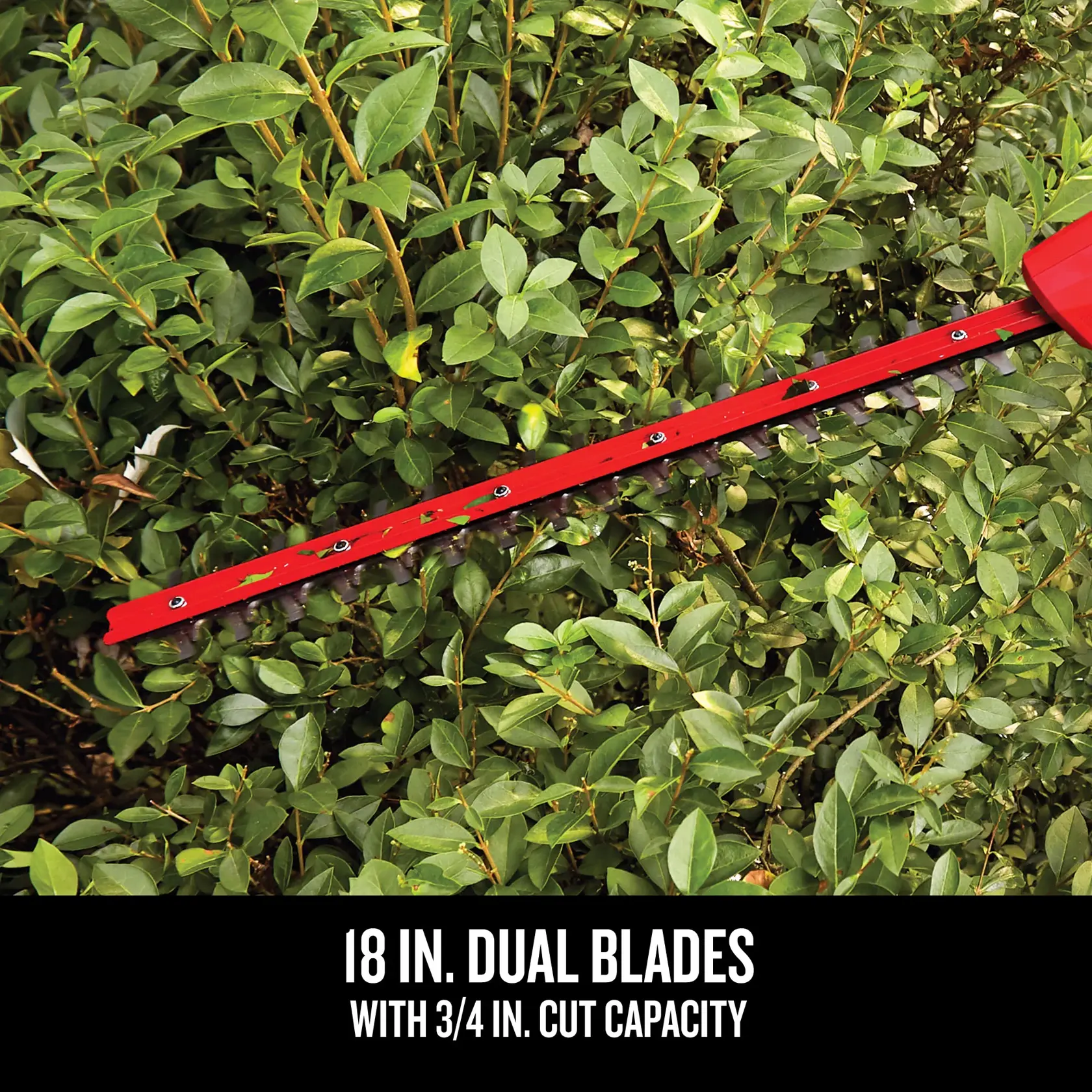 CRAFTSMAN® V20* Cordless 18-Inch Pole Hedge Trimmer (Tool Only)