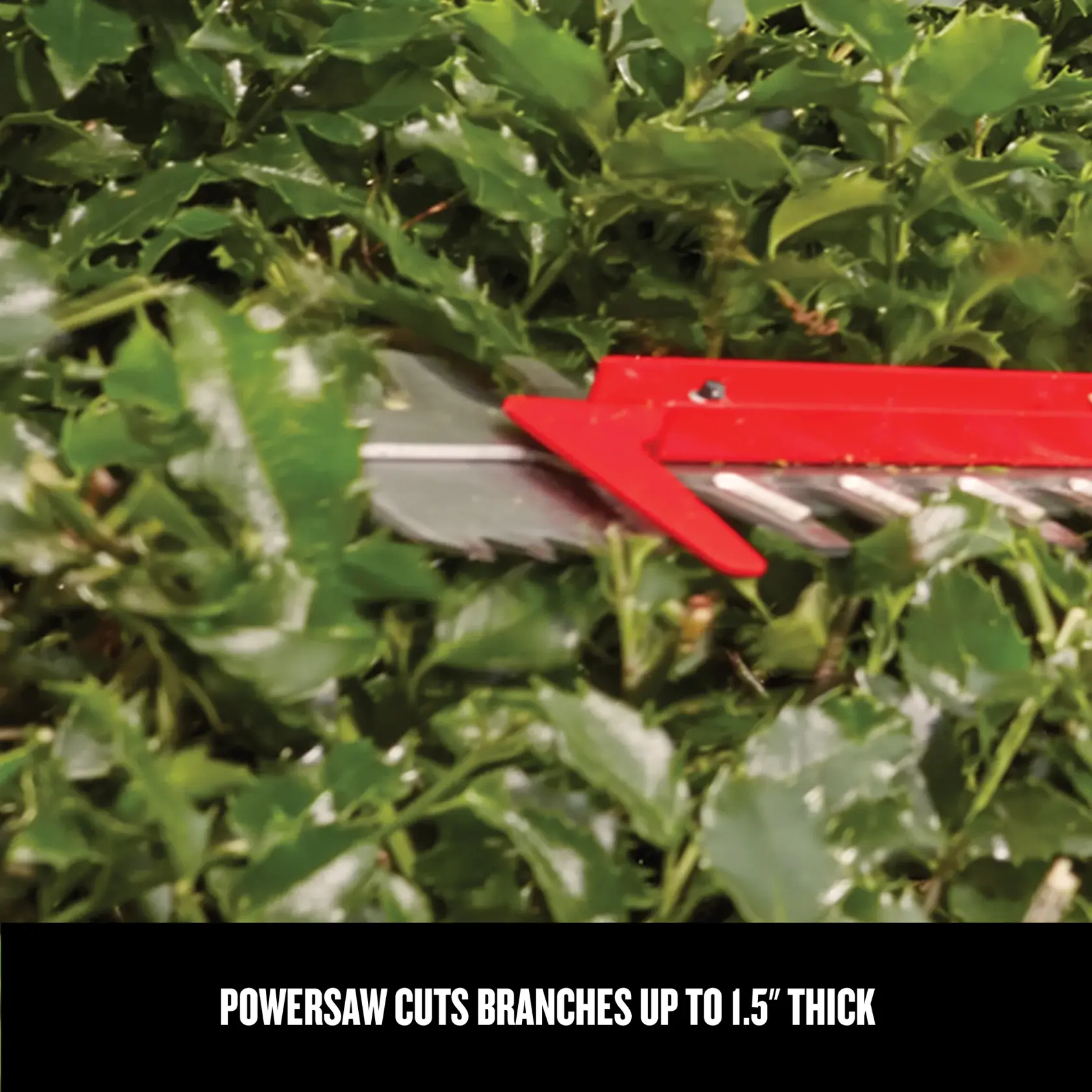 Graphic of CRAFTSMAN Hedge Trimmers highlighting product features