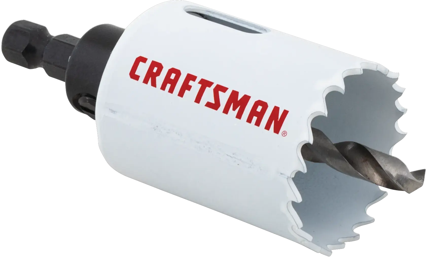 View of CRAFTSMAN Hole Saws on white background