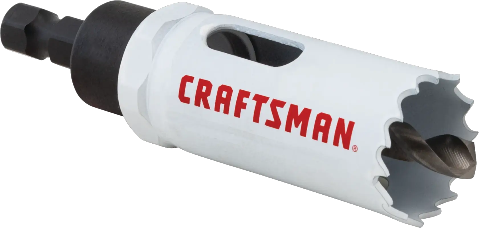 View of CRAFTSMAN Hole Saws on white background