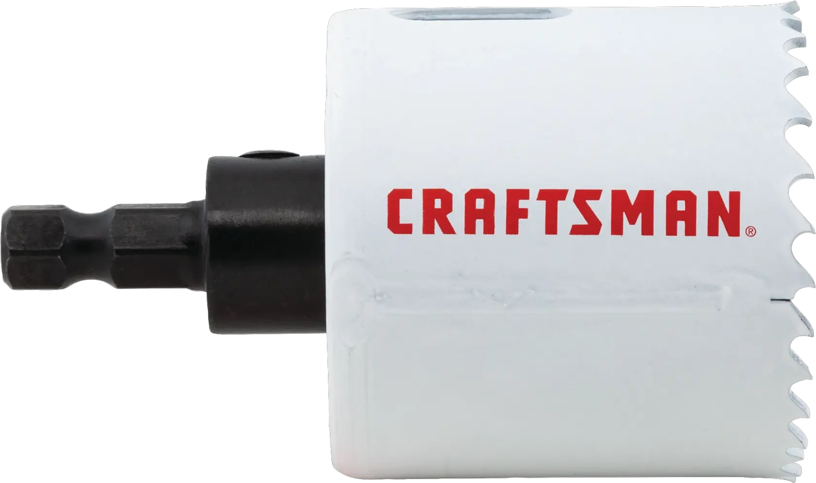 View of CRAFTSMAN Hole Saws on white background
