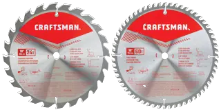 2 pack 10 inch saw blade combo.