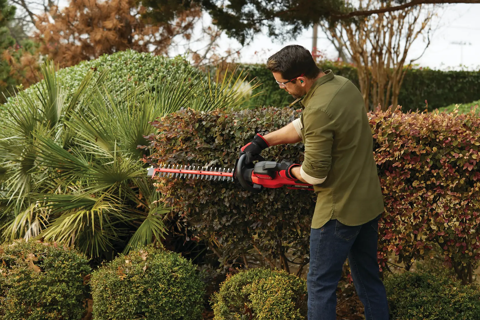 Cordless 24 inch hedge trimmer kit 2.5 Ampere hours being used to level sides of hedge.