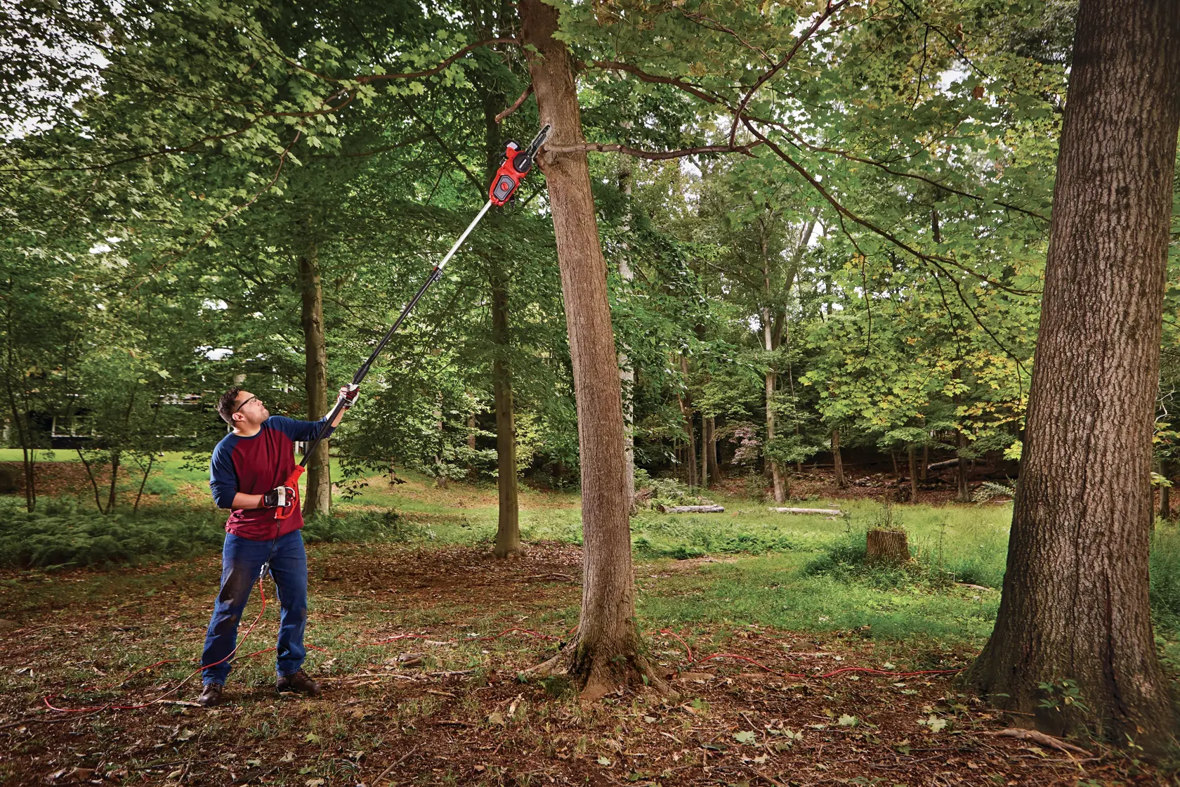 View of CRAFTSMAN Pole Saws  being used by consumer