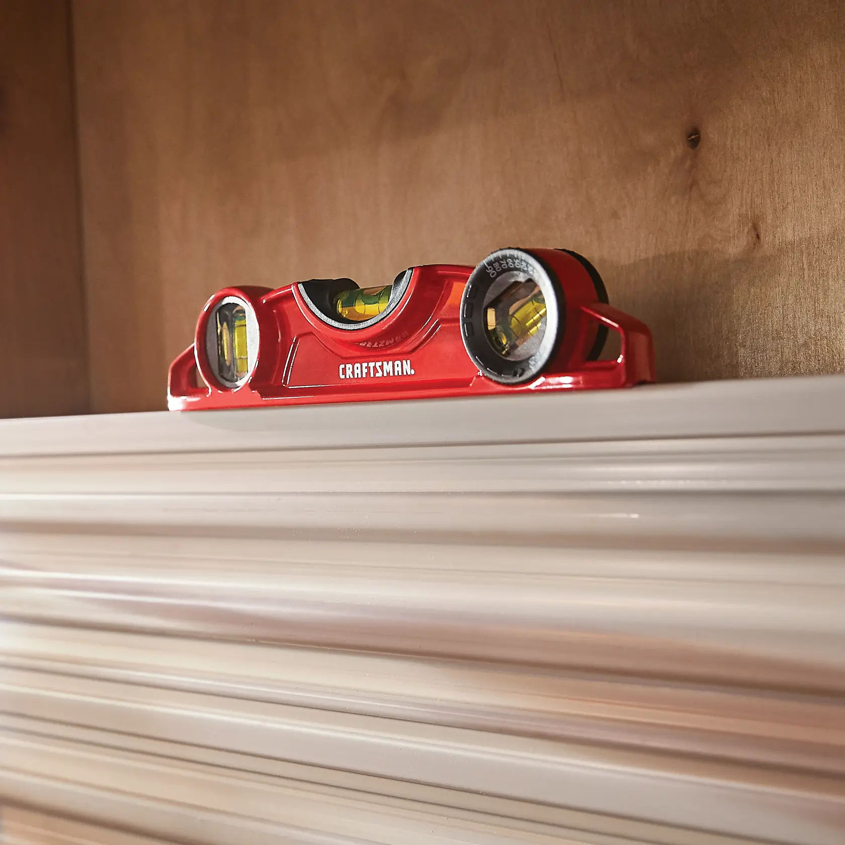 View of CRAFTSMAN Level: Standard being used by consumer