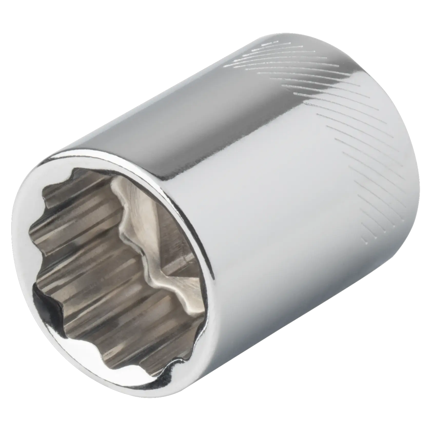View of CRAFTSMAN Sockets: 12-Point on white background