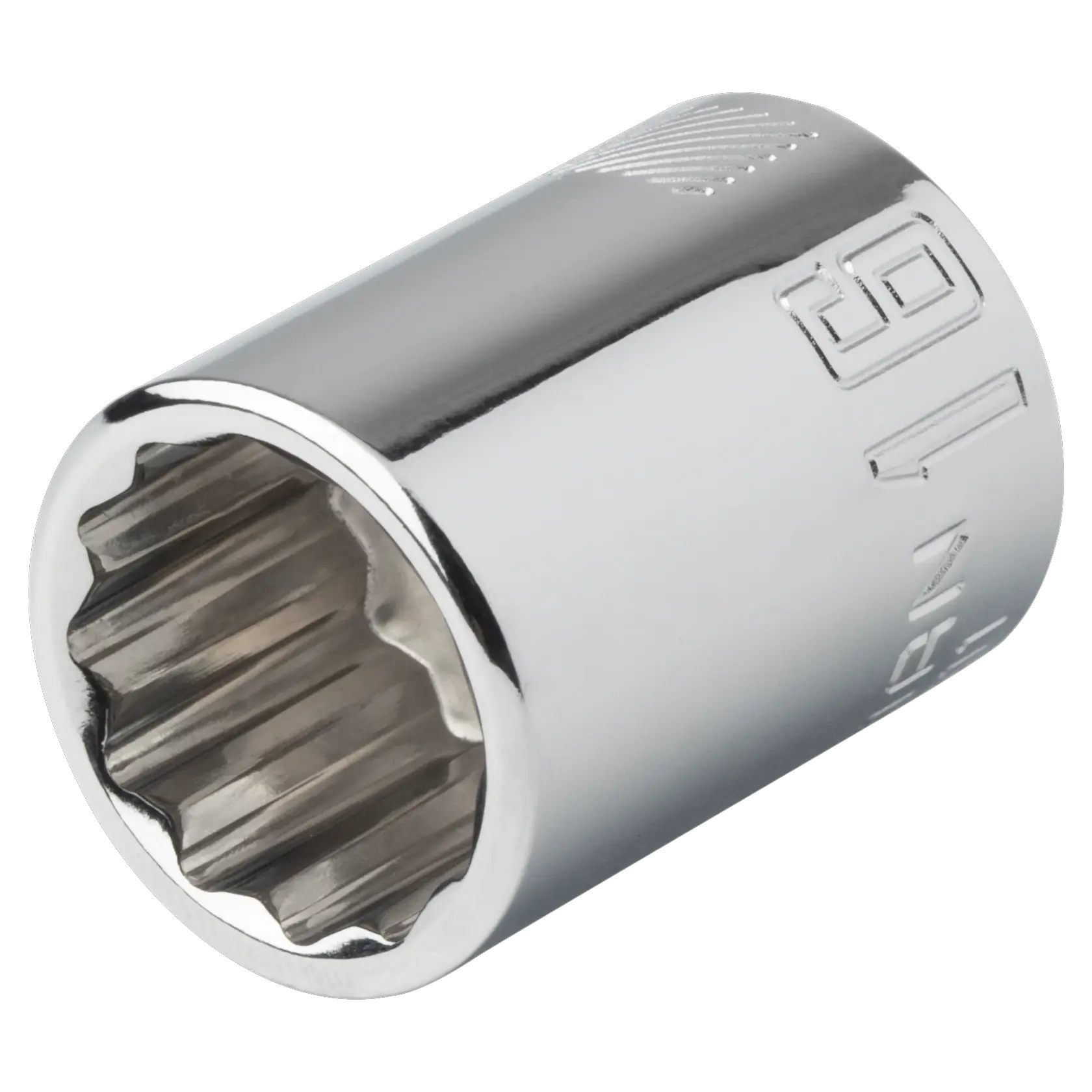 View of CRAFTSMAN Sockets: 12-Point on white background