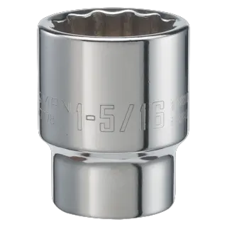 View of CRAFTSMAN Sockets: Shallow on white background