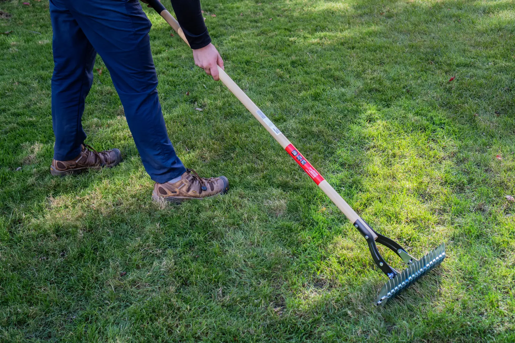 Long Handle Steel Lawn Thatch Removing Rake with wood handle and cushion grip, in action raking 