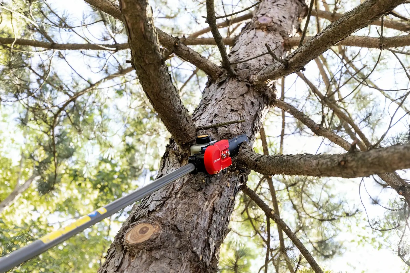CRAFTSMAN pole saw attachment head cutting branch off of a tree 
