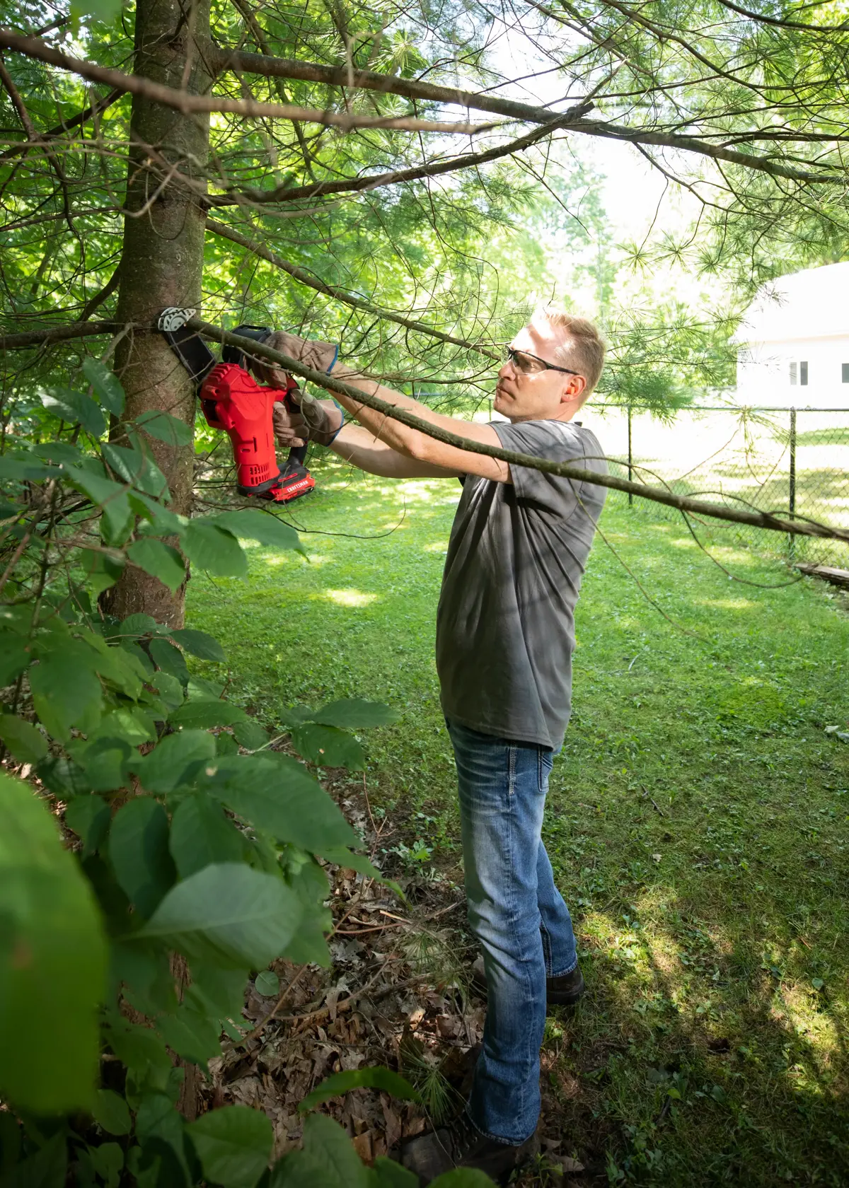 Photo of CRAFTSMAN CMCCS320D1 cordless chainsaw cutting tree branch outdoors.