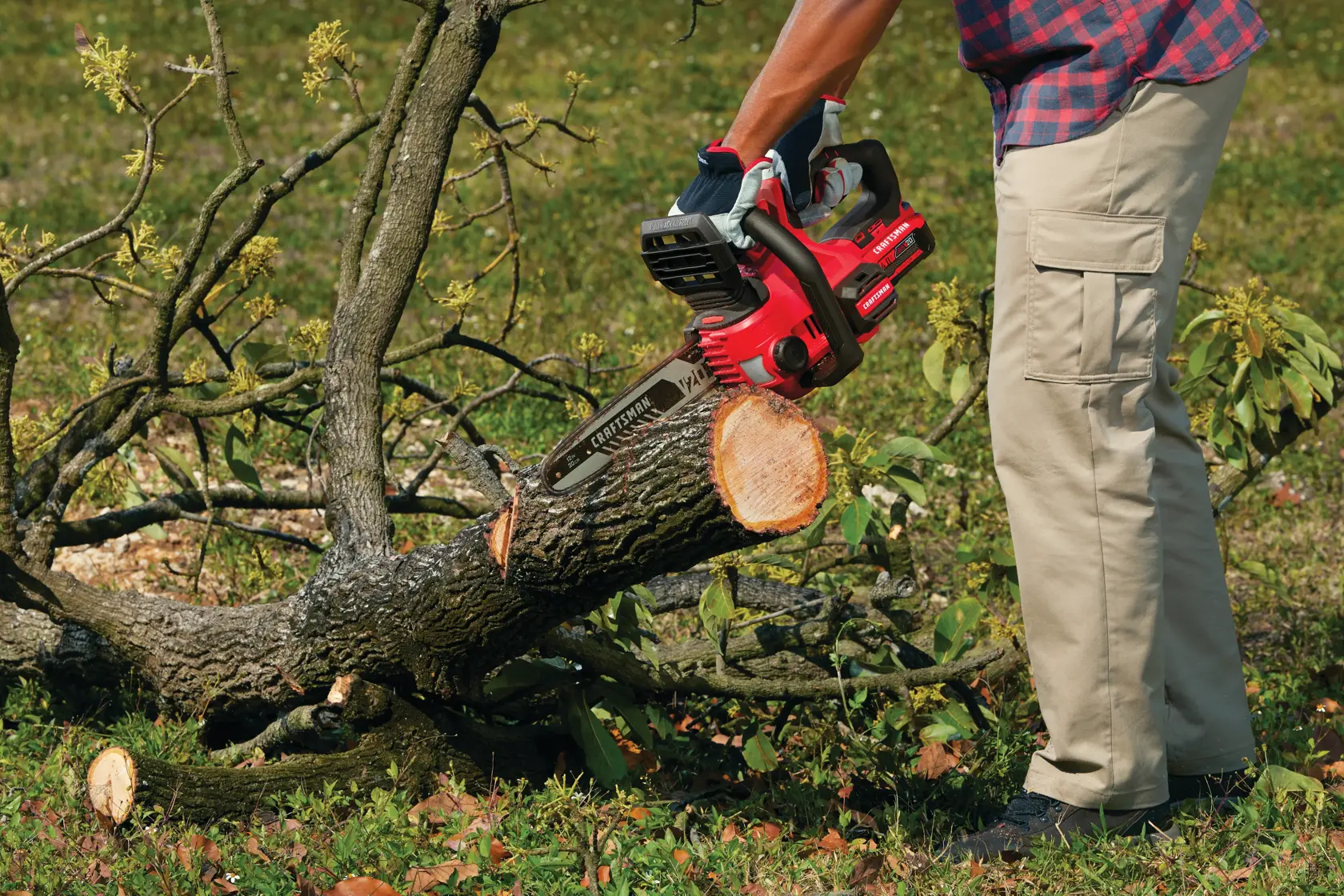 View of CRAFTSMAN Chain Saws  being used by consumer
