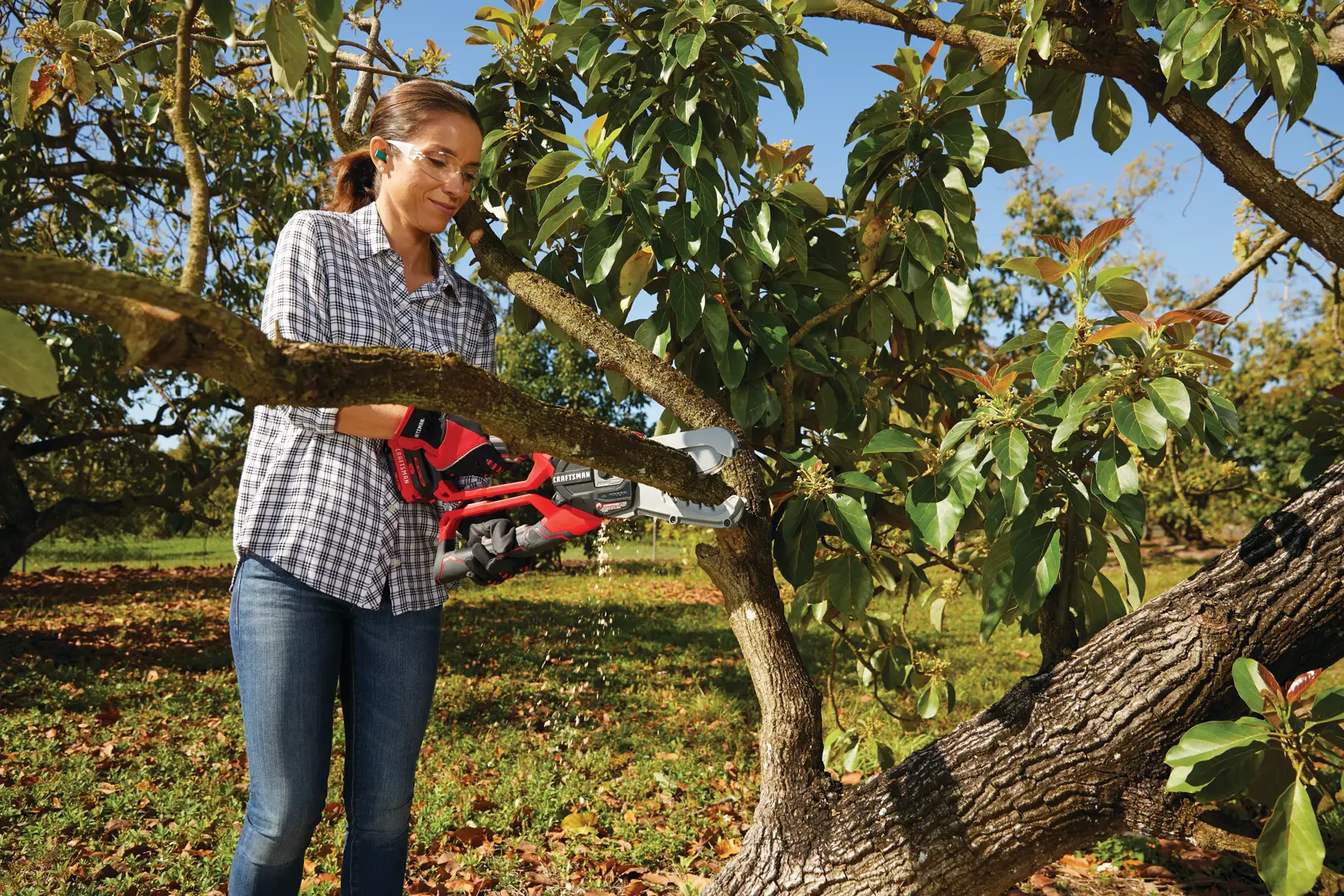 6 inch cordless compact chainsaw lopper kit 2 amp hour being used for cutting tree branch by person.