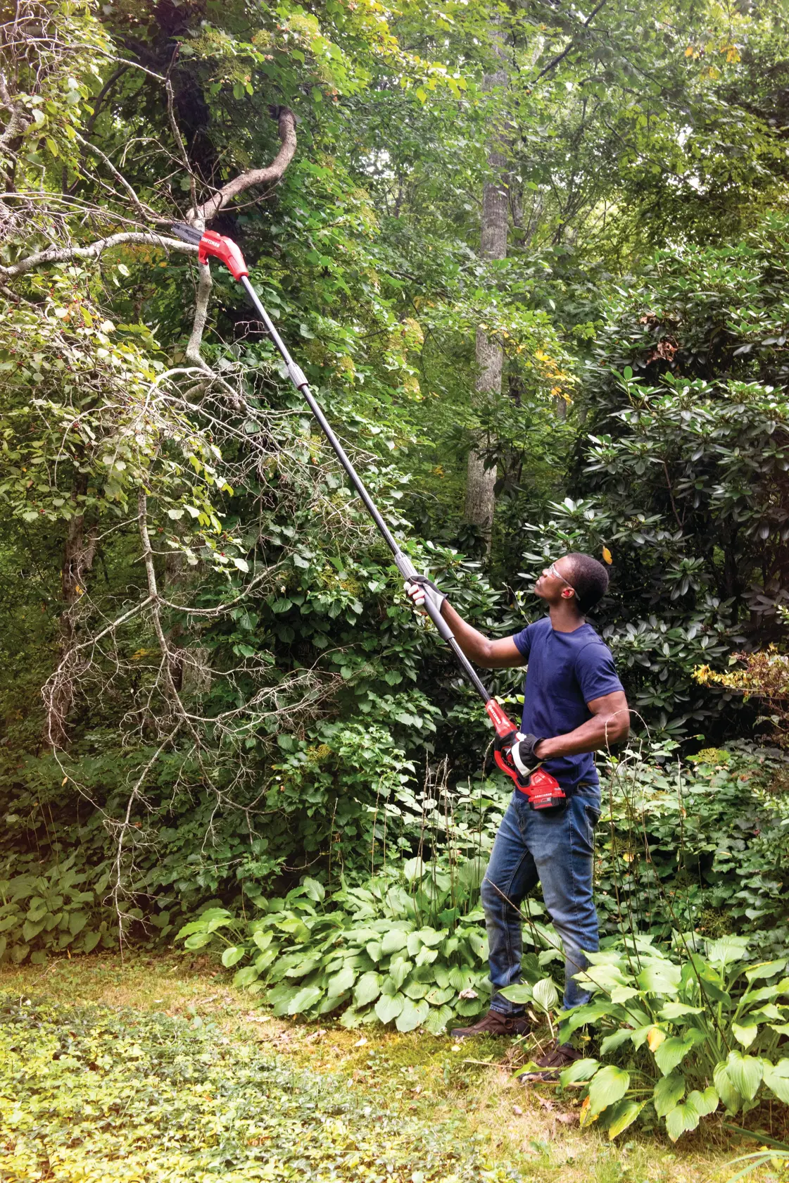 View of CRAFTSMAN Pole Saws  being used by consumer