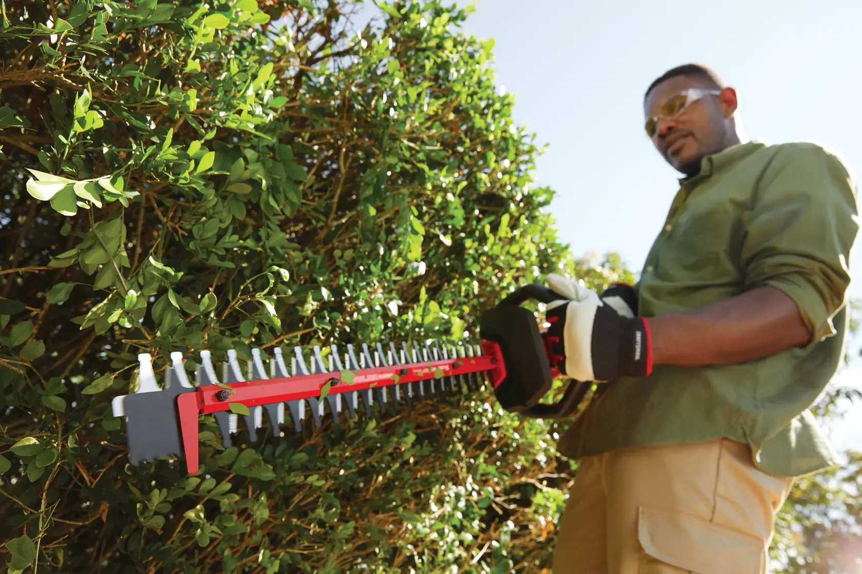 Cordless 24 inch hedge trimmer kit 2.5 Ampere hours being used to trim.