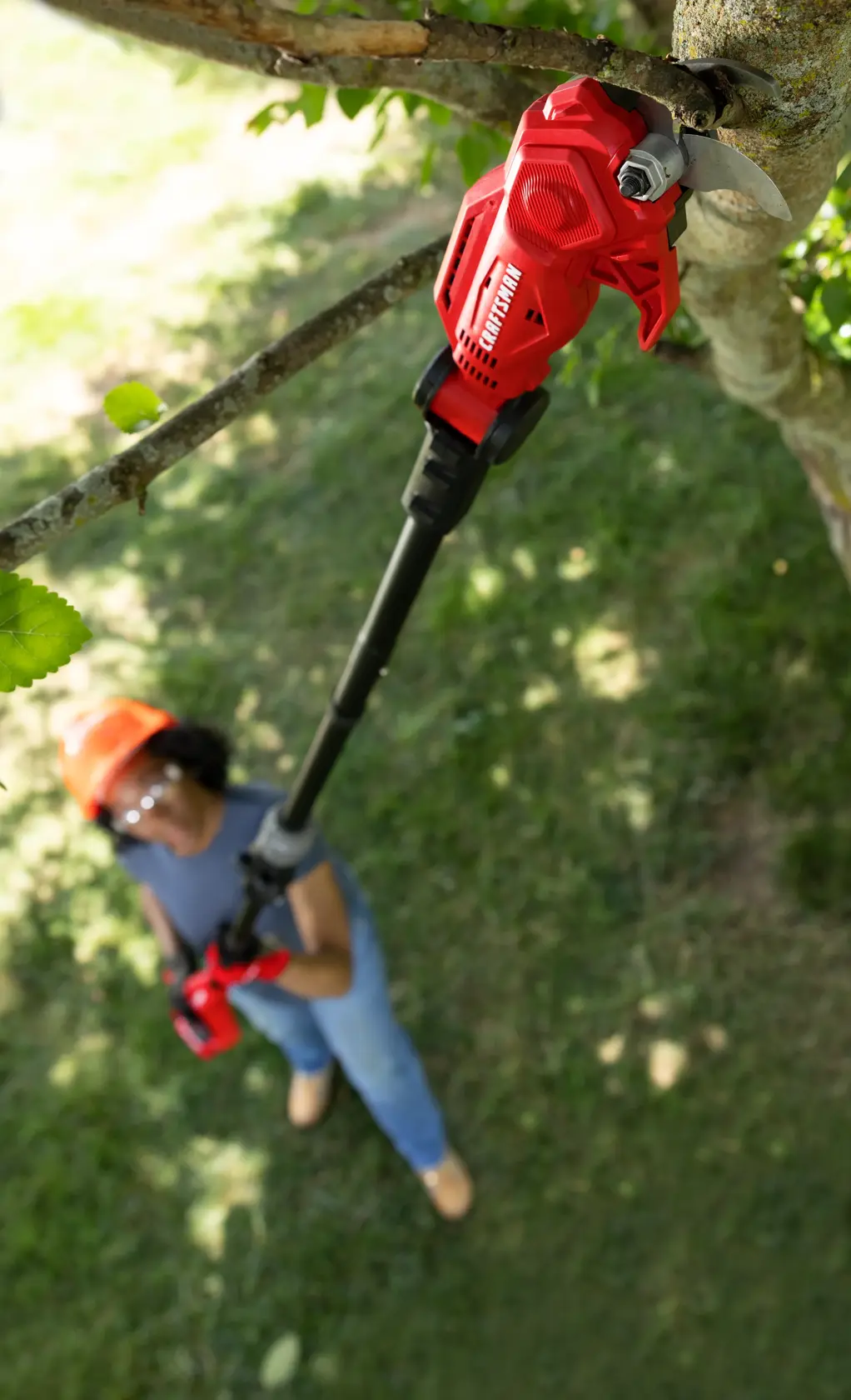 Women pruning tree with CRAFTSMAN V20 Pole Pruner 