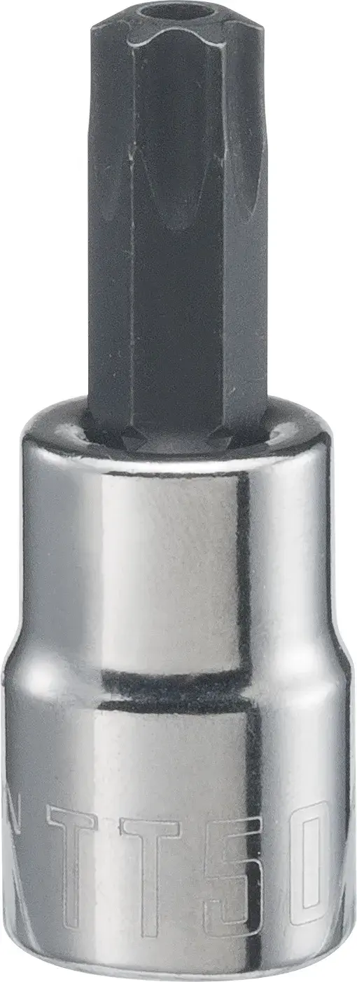 View of CRAFTSMAN Sockets: Torx on white background