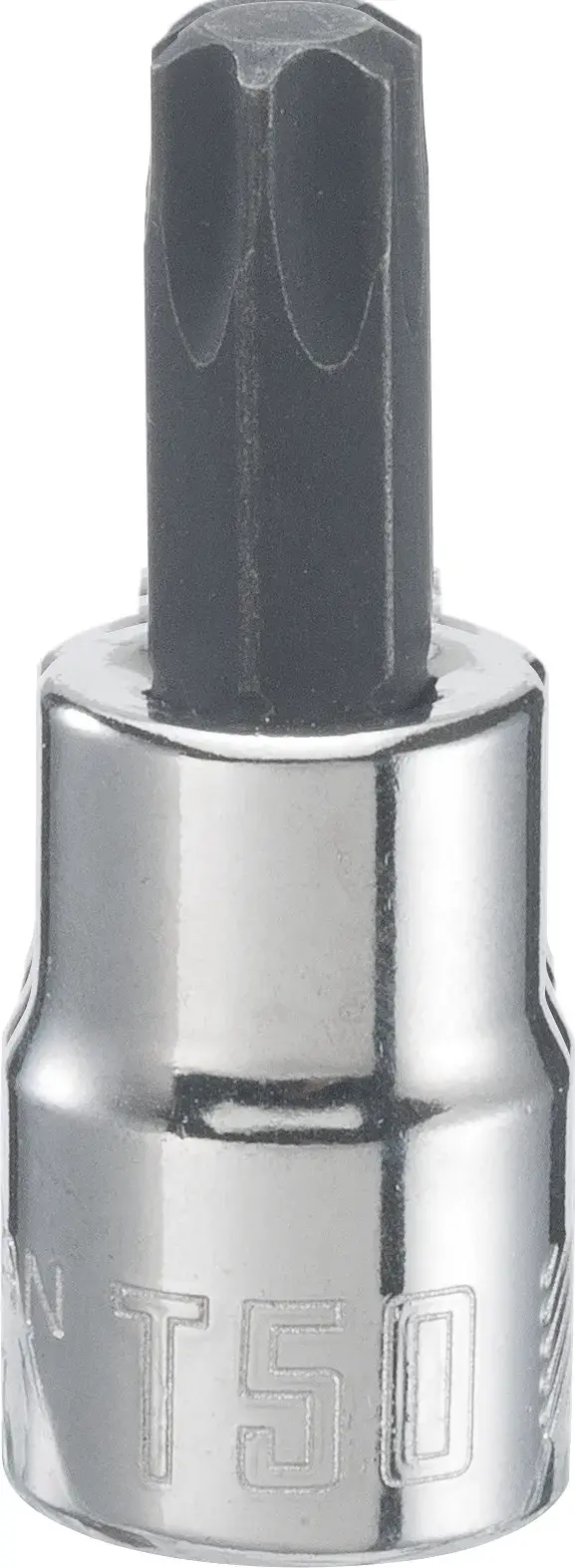 3/8-in Drive T50 Torx Bit Socket
