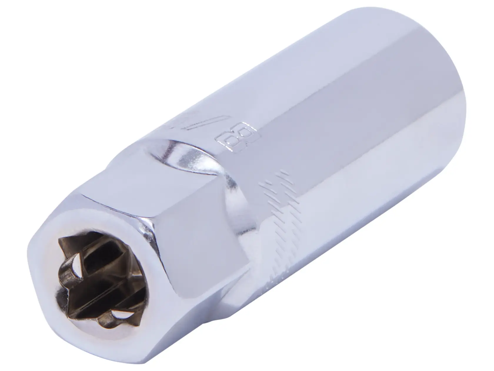 View of CRAFTSMAN Sockets on white background