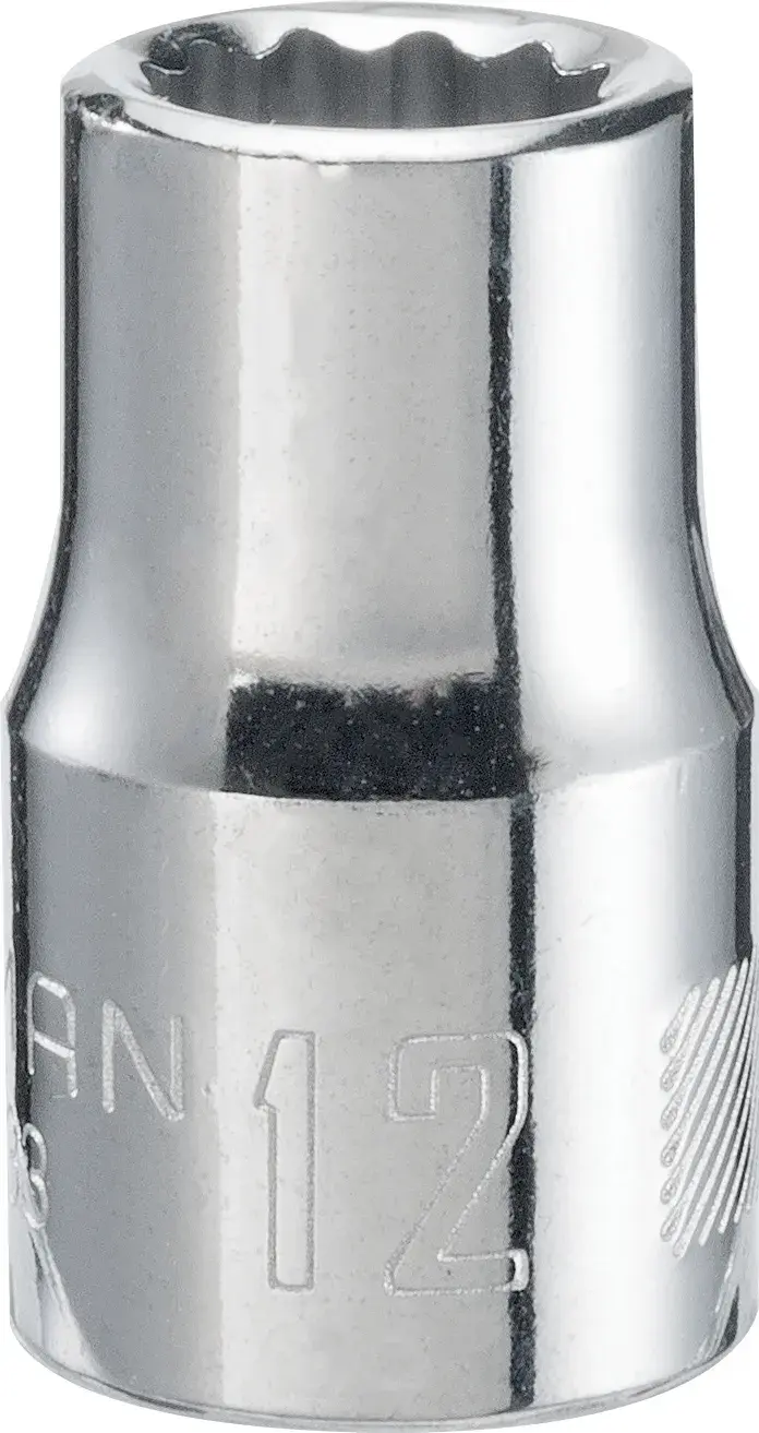 1/2-in Drive 12-mm 12-Point Metric Shallow Socket