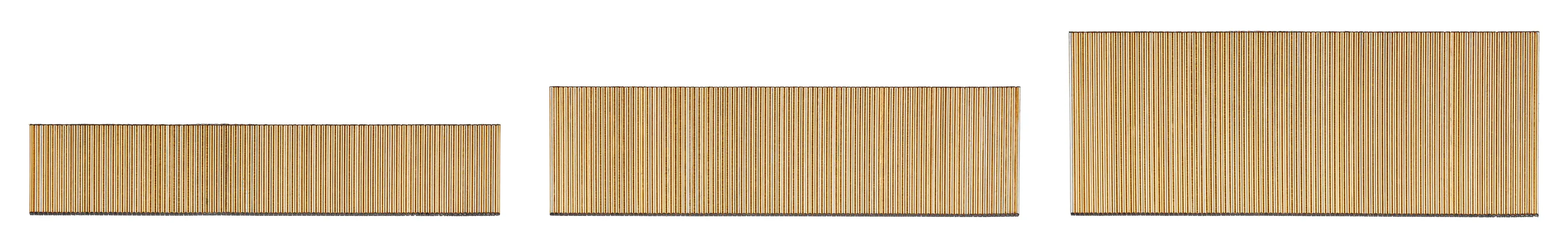 View of CRAFTSMAN Fasteners: Finishing Nails on white background