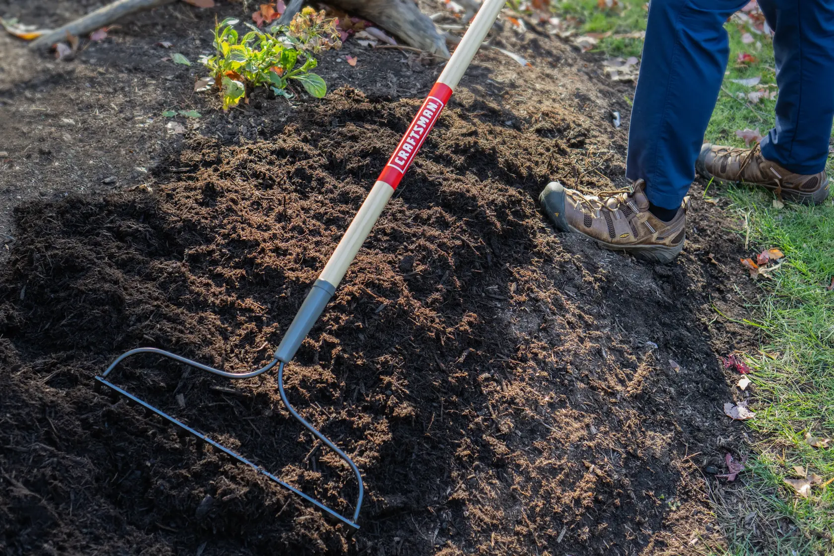 Long Handle 16 Tine Steel Garden Soil Rake with wood handle and cushion grip, in action raking