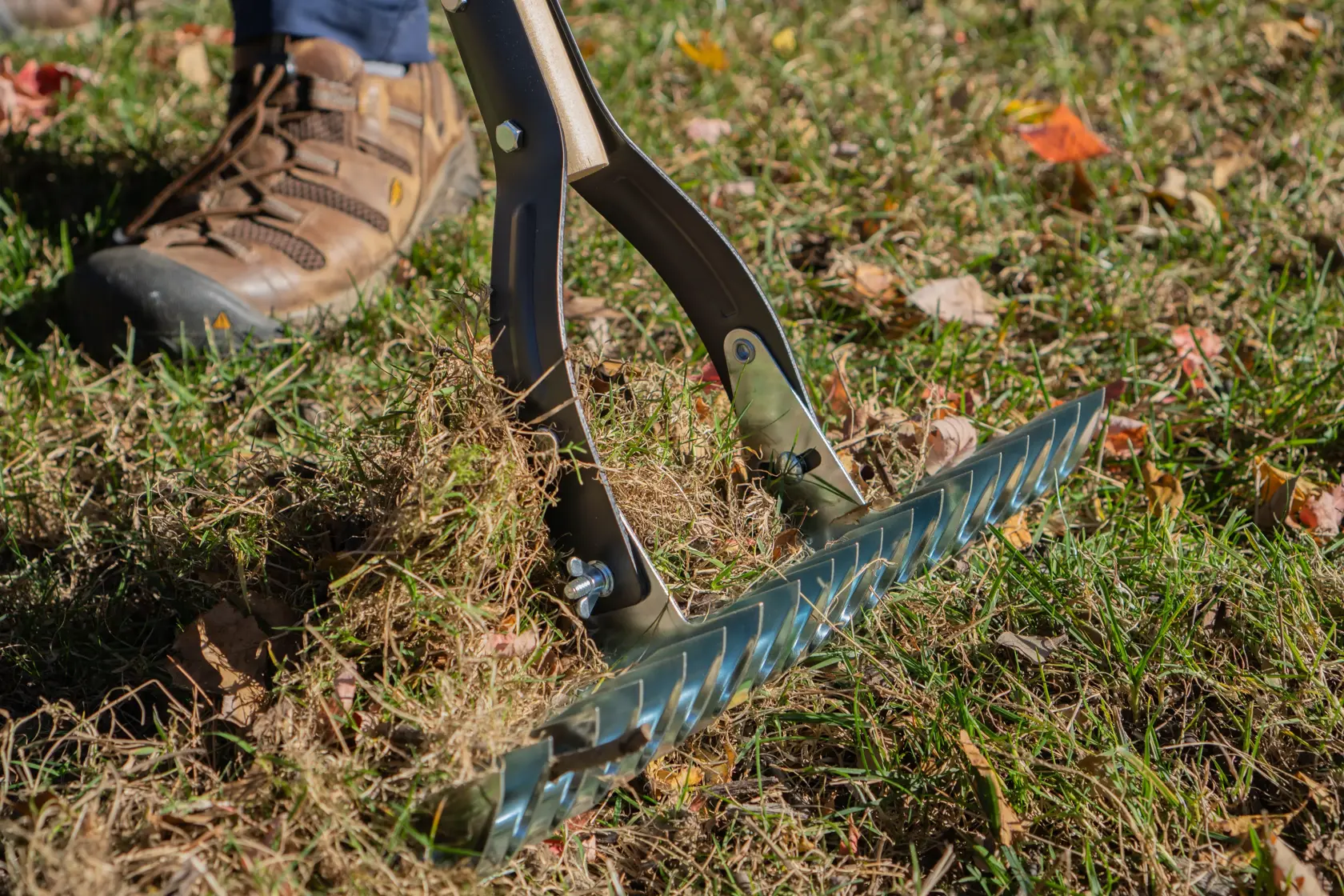 Long Handle Steel Lawn Thatch Removing Rake with wood handle and cushion grip, in action raking 