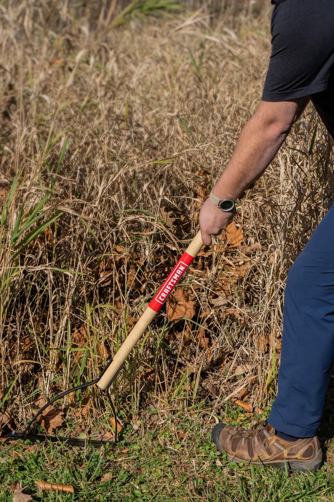 Short Handle Back and Forth Swinging Serrated Steel Weed Cutter with wood handle, in action cutting