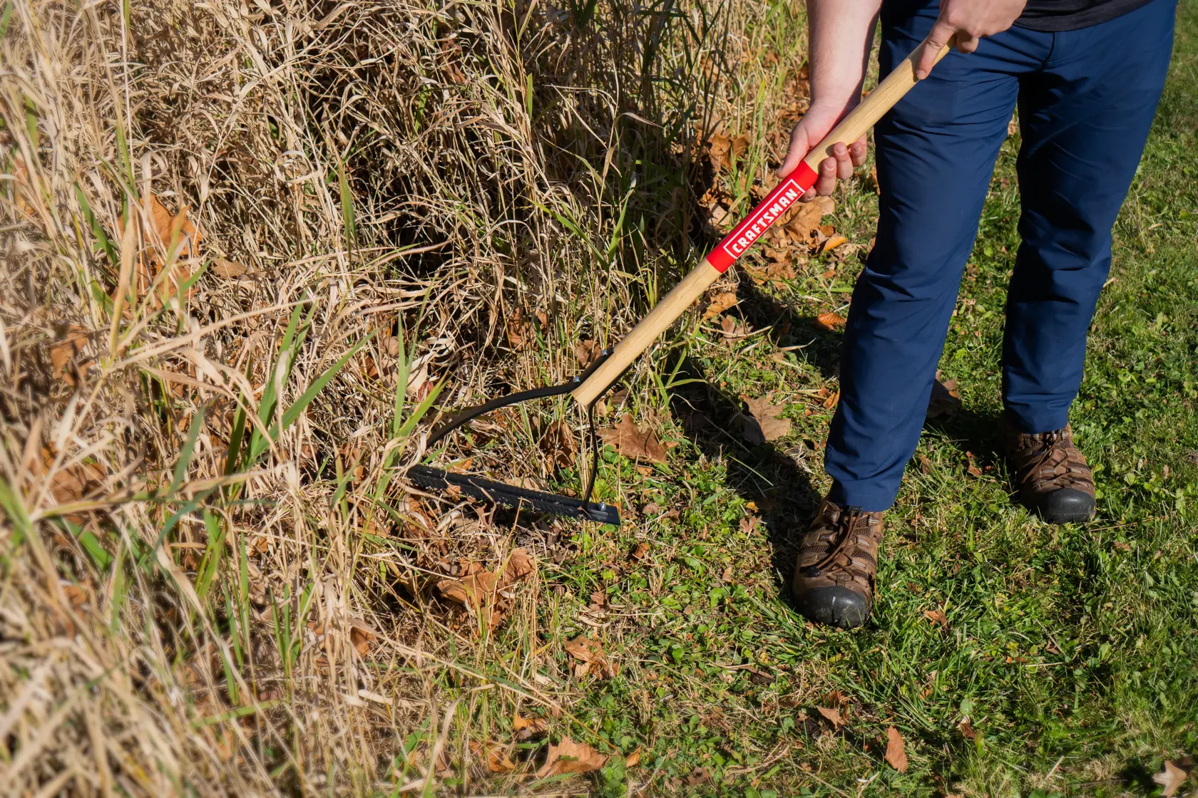 Short Handle Back and Forth Swinging Serrated Steel Weed Cutter with wood handle, in action cutting