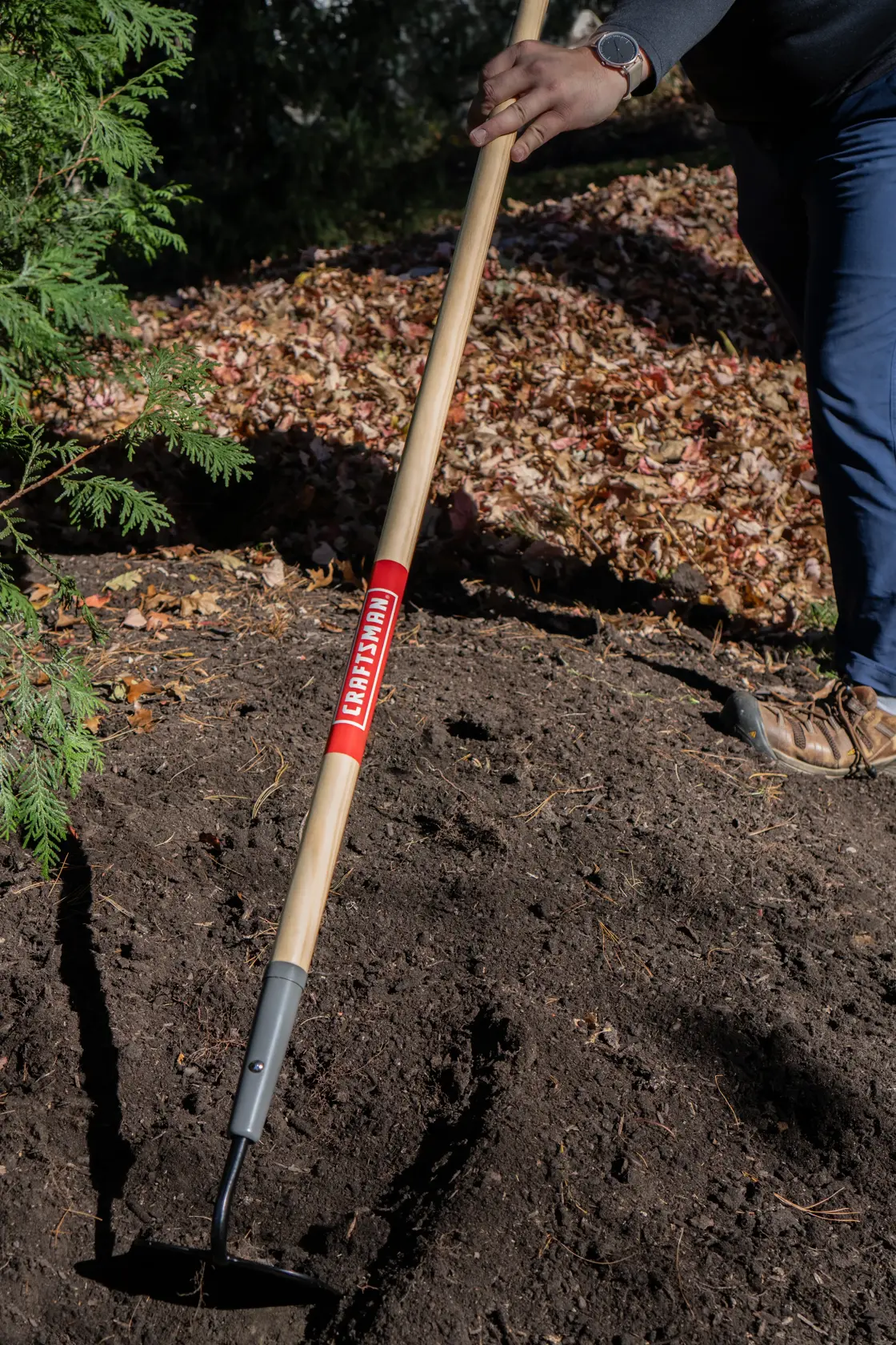 Long Handle Forged Steel Chopping and Weeding Garden Hoe with wood handle and cushion grip, in action 