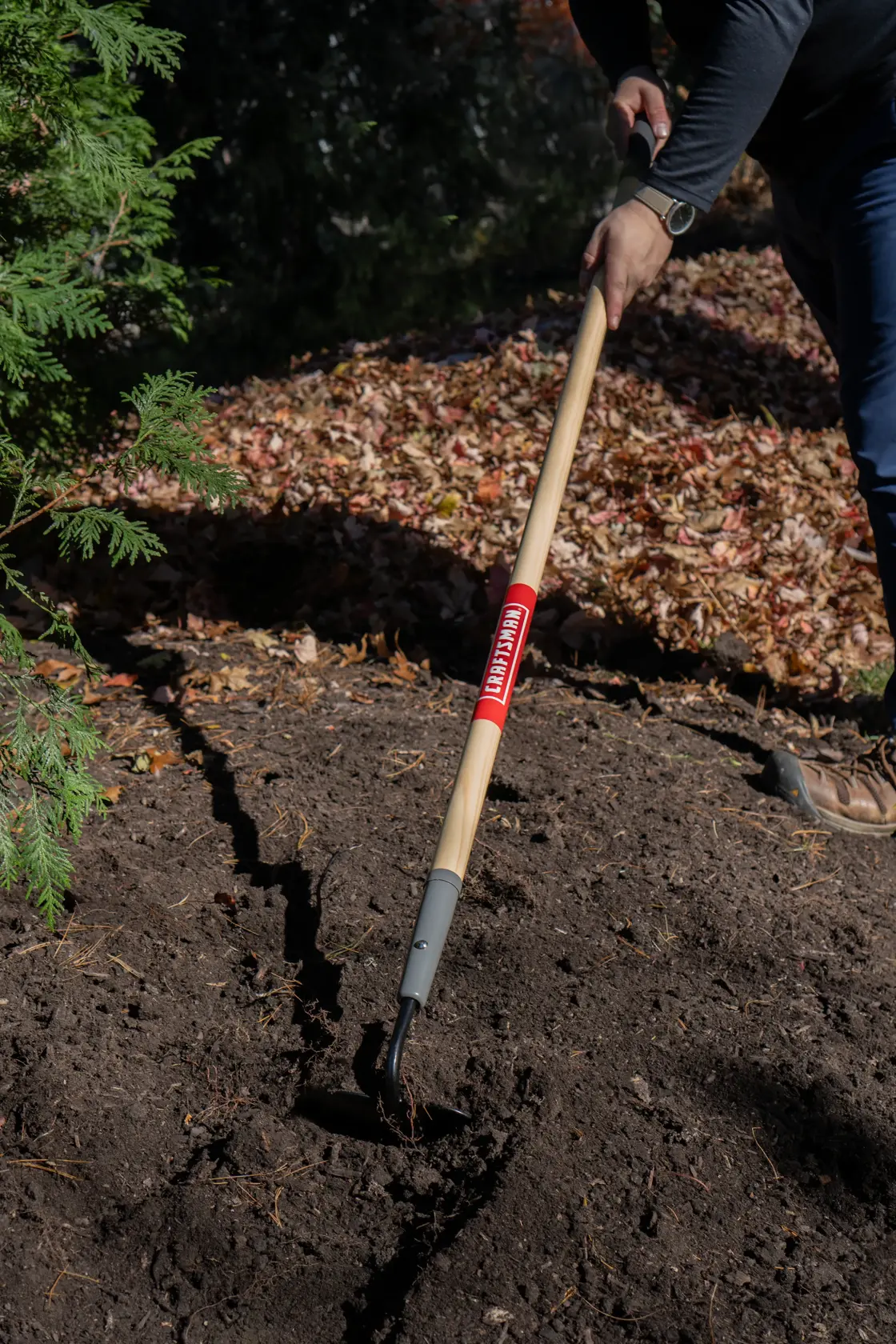 Long Handle Forged Steel Chopping and Weeding Garden Hoe with wood handle and cushion grip, in action 