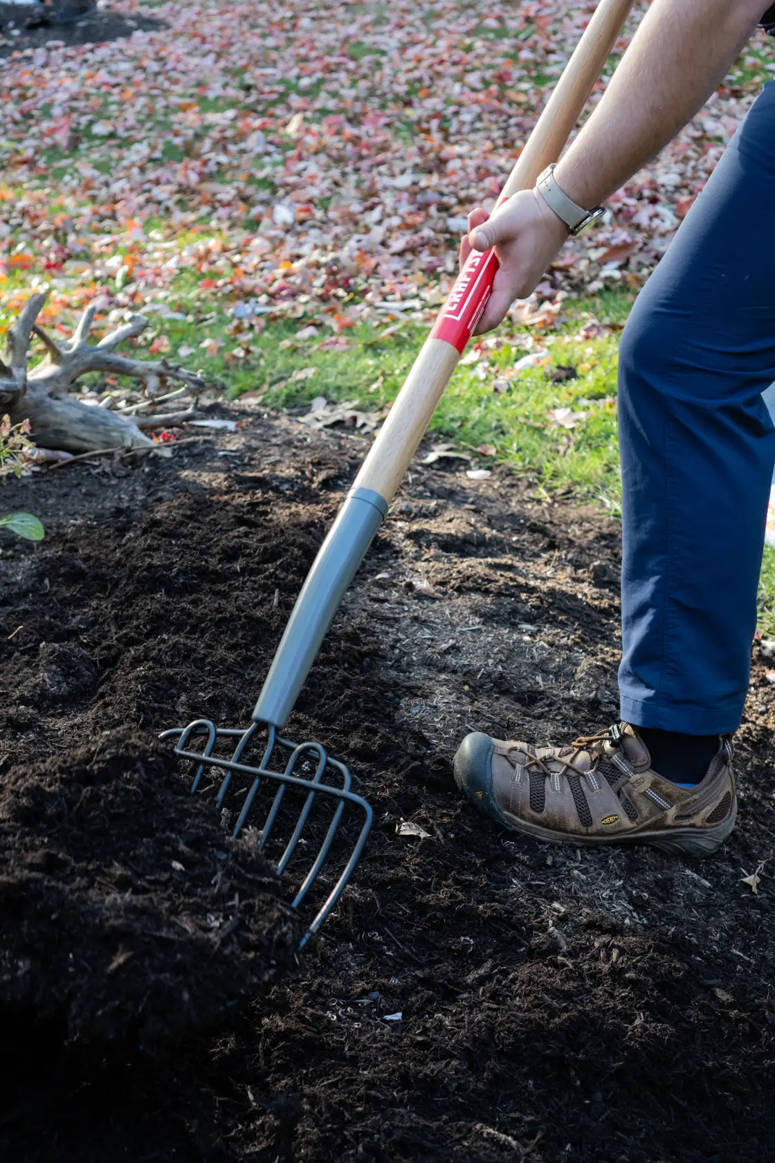 Long Handle 10 Tine Steel Bedding and Mulch Fork with wood handle and cushion grip, in action scooping 