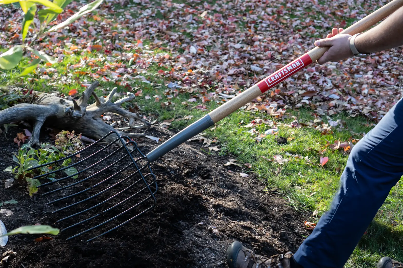 Long Handle 10 Tine Steel Bedding and Mulch Fork with wood handle and cushion grip, in action scooping 