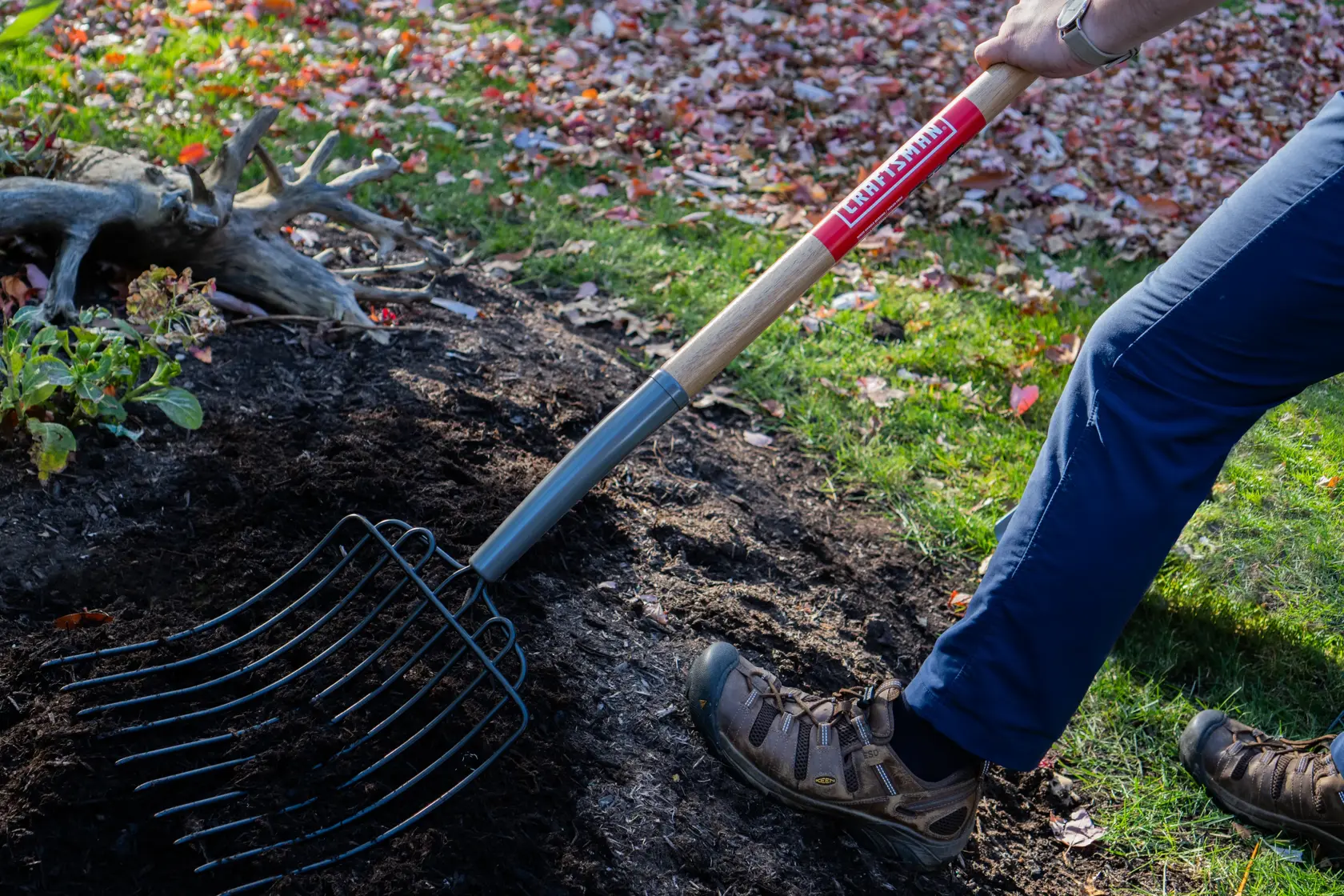 Long Handle 10 Tine Steel Bedding and Mulch Fork with wood handle and cushion grip, in action scooping 