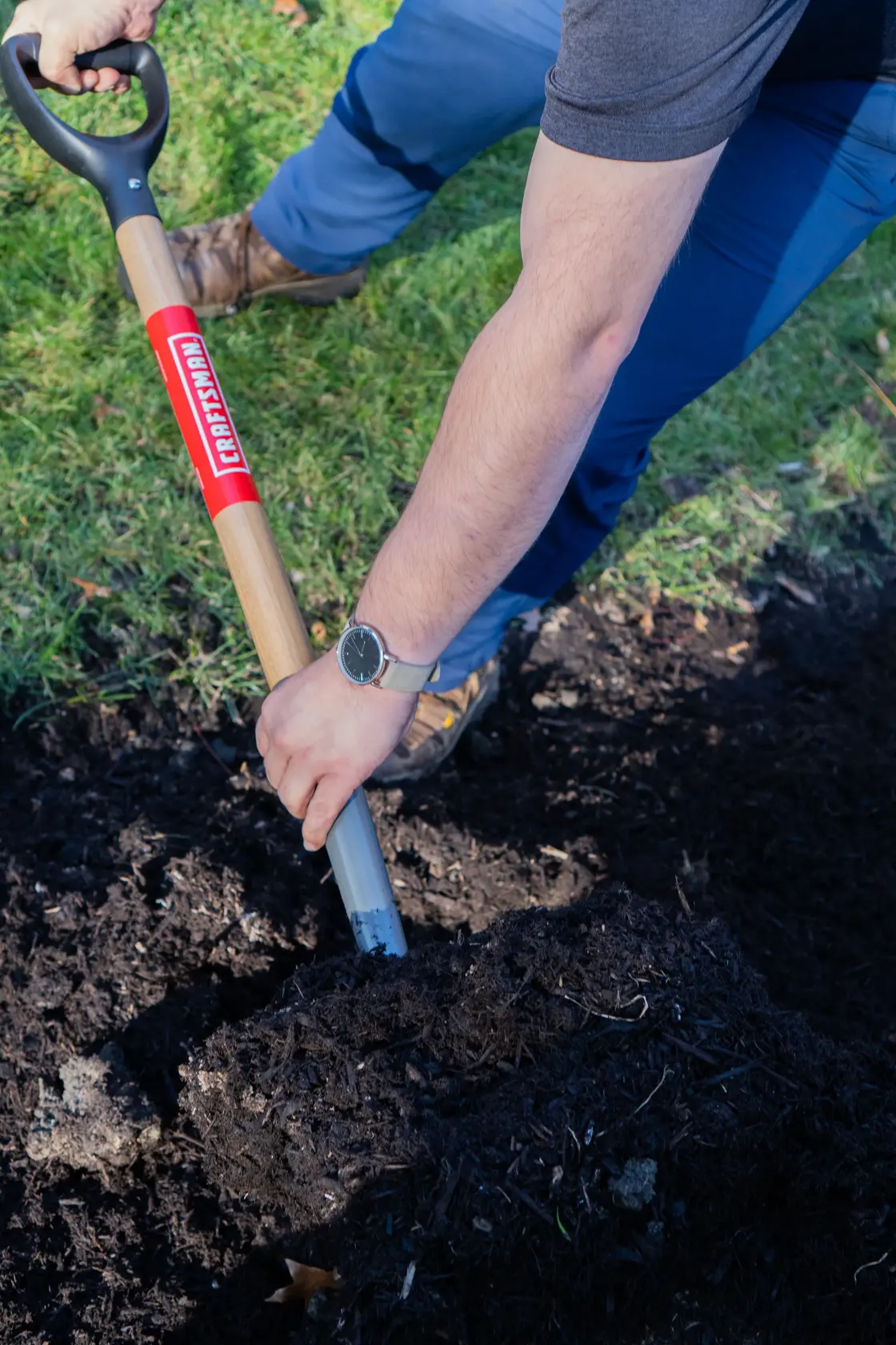 Short Handle 4 Diamond Pointed Tine Forged Steel Digging Fork with wood handle and D-Grip, in action 