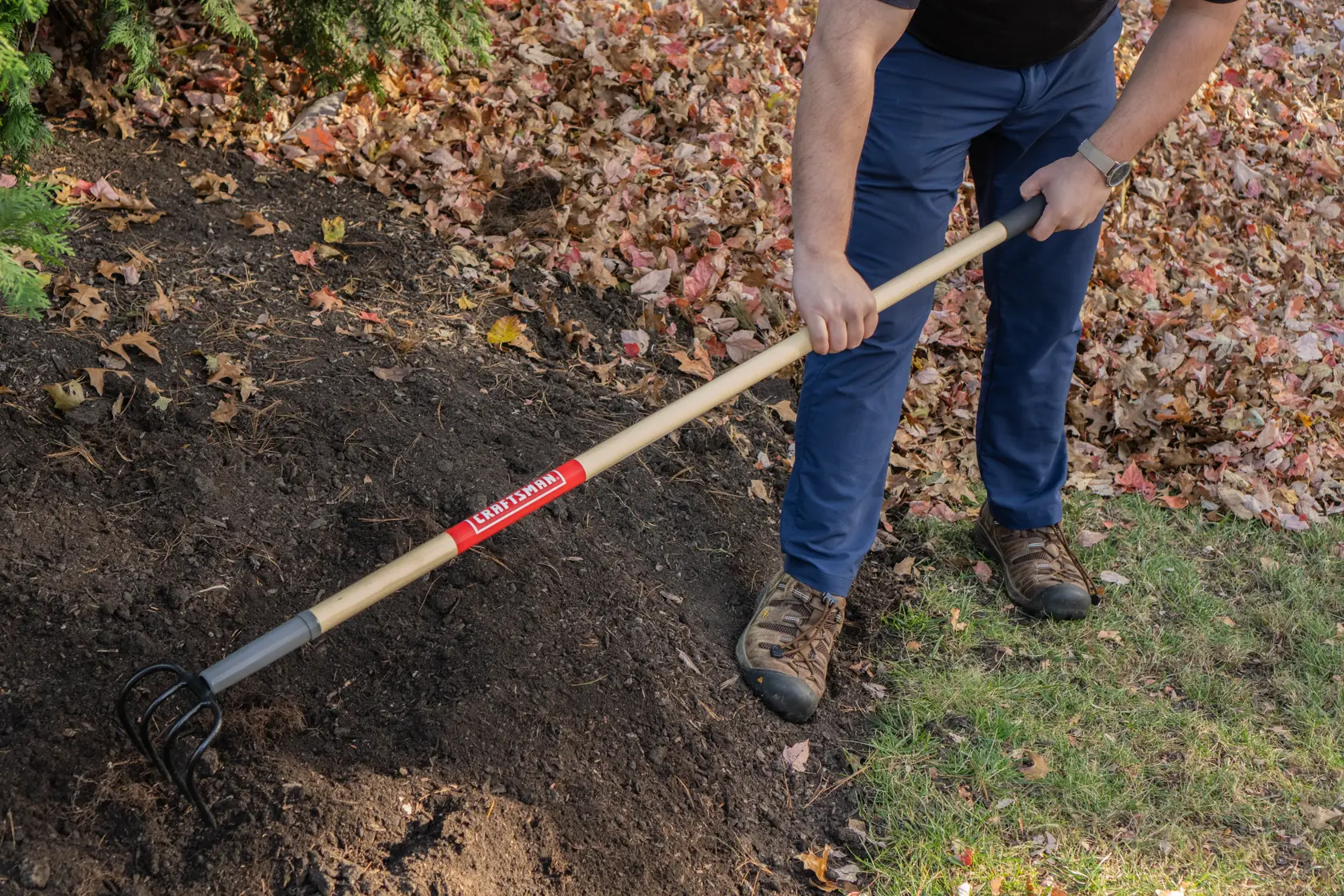 Long Handle 4 Tine Forged Steel Cultivator with wood handle and cushion grip, in action 