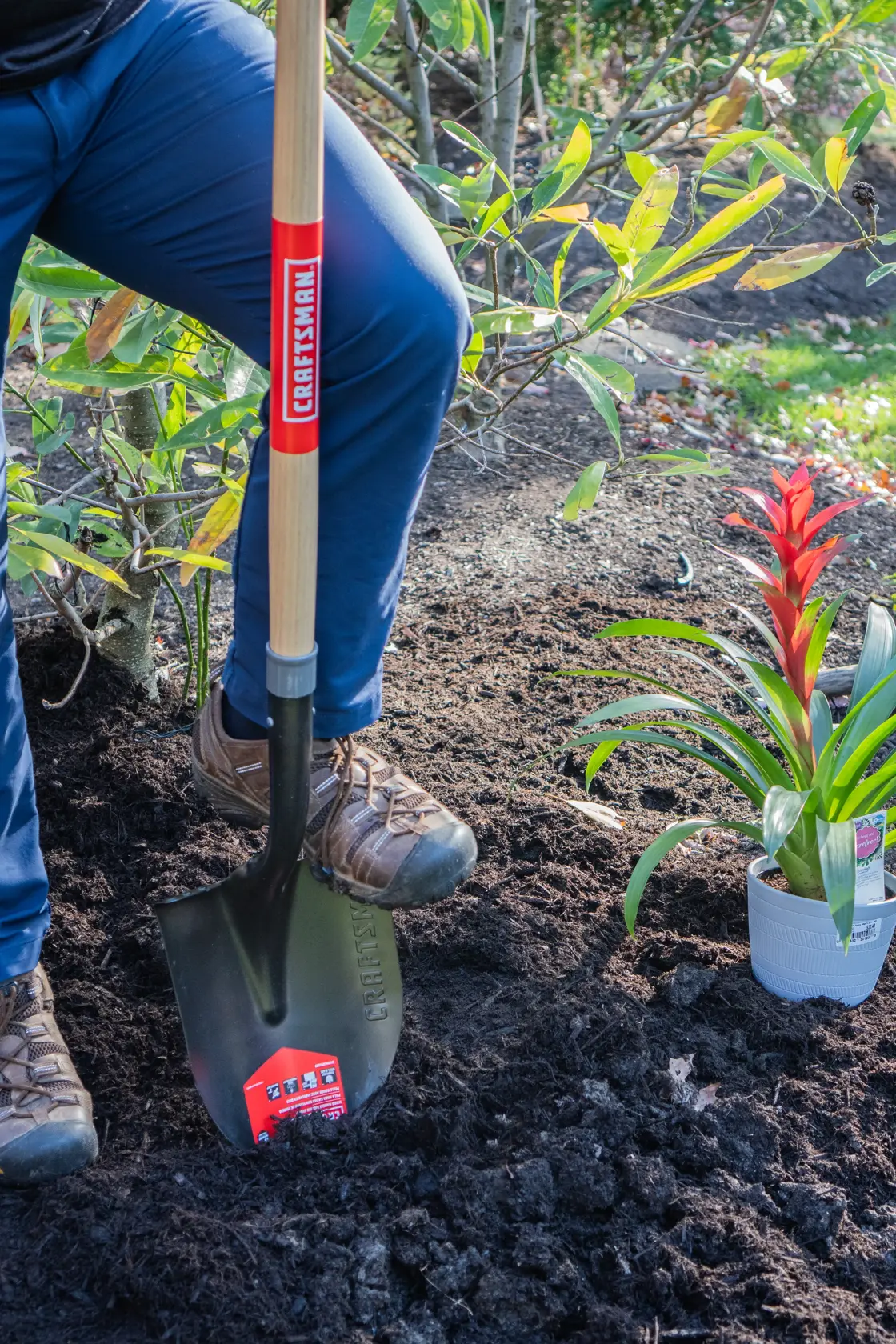 Long Handle Cleated Step Digging Shovel with wood handle and cushion grip, in action 