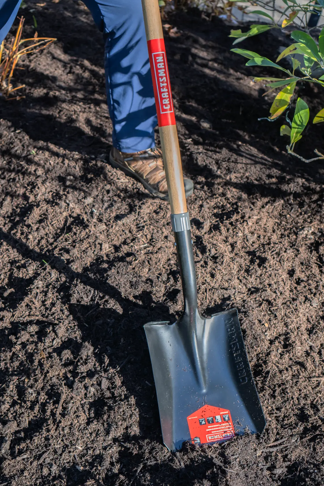 Long handle Cleated Step Transfer Shovel with wood handle and cushion grip, in action shoveling