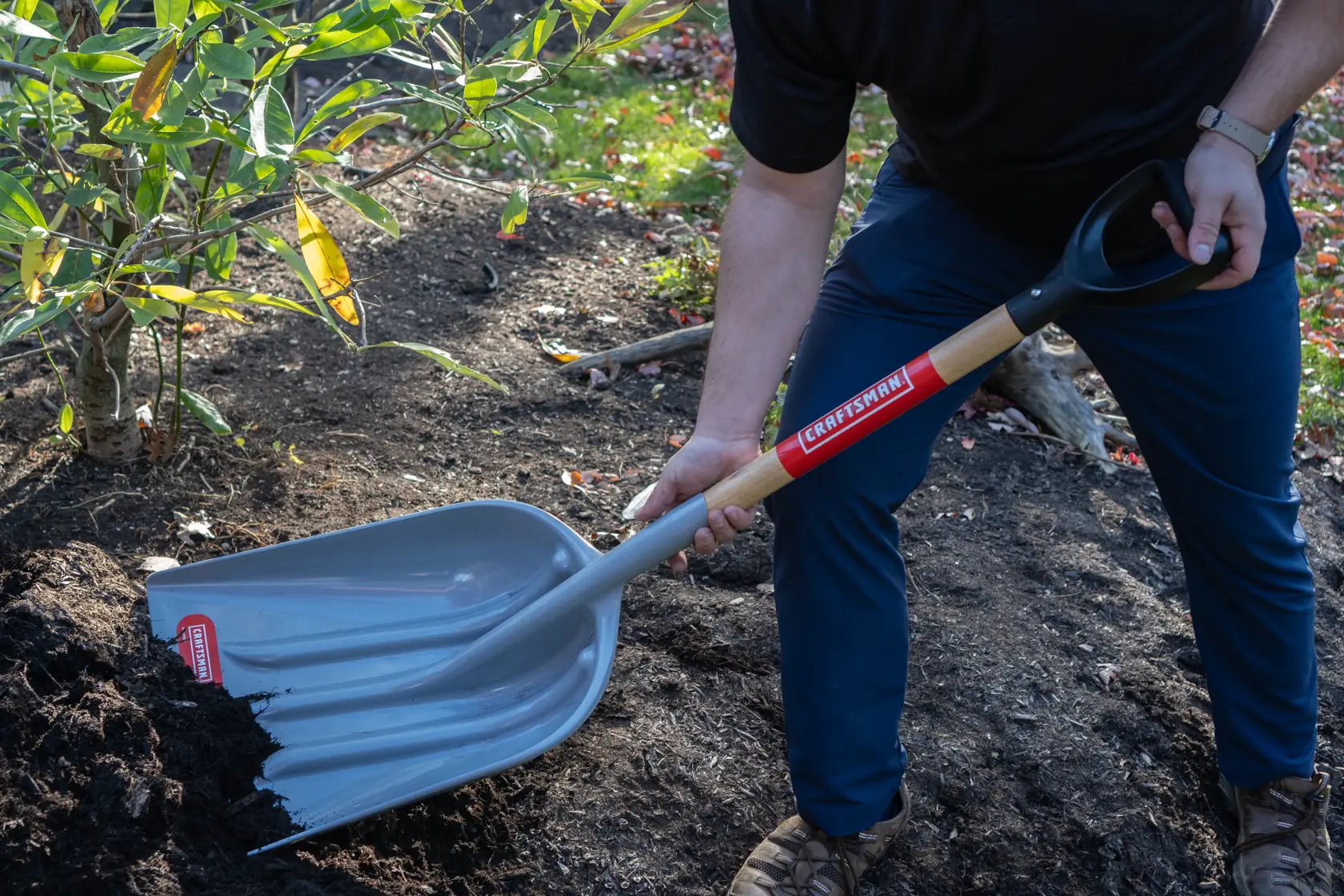 Short Handle #12 Size Poly Scoop with wood handle and D-Grip, in action scooping