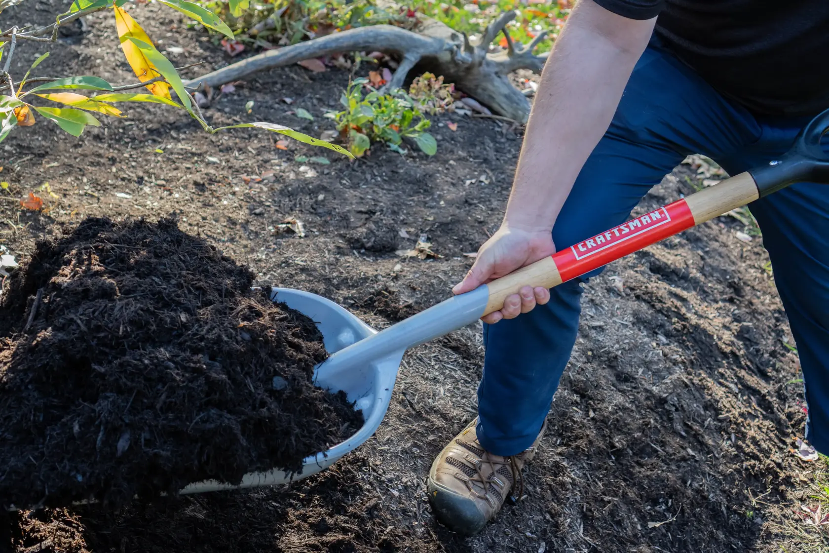 Short Handle #12 Size Poly Scoop with wood handle and D-Grip, in action scooping